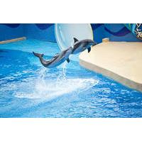 Coach Day Tour - Ocean Park Tour with Hotel Pickup in Kowloon Area From Hong Kong