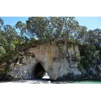 Coromandel and Cathedral Cove Day Trip from Auckland