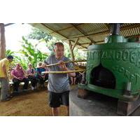 Costa Rican Farm Tour in La Fortuna