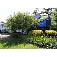 Comfort Inn Traverse City