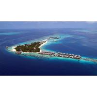 coco palm bodu hithi