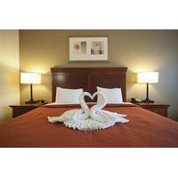 country inn suites by carlson tampa east fl