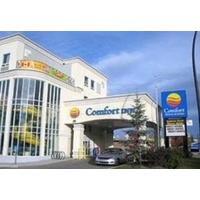 comfort inn suites university