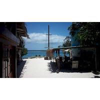 Coral Reef Beach Aruba