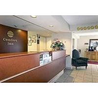 COMFORT INN DARTMOUTH