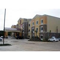 comfort suites leesville