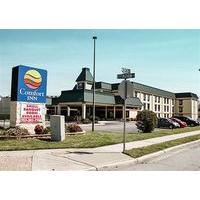 Comfort Inn Olde Town