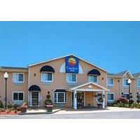 comfort inn saugerties