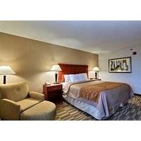 comfort inn suites university south