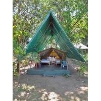 Corcovado Adventures Tent Camp