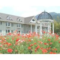 Condominium Square Hills