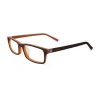Converse Eyeglasses CV Q039 Brown