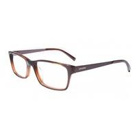 Converse Eyeglasses CV Q032 Brown Uf