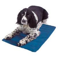 cool dog bed pad