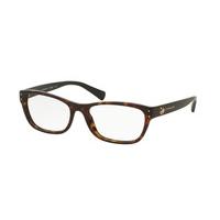 coach eyeglasses hc6082f asian fit 5244