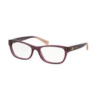 coach eyeglasses hc6082f asian fit 5351