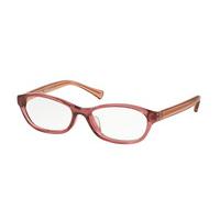 coach eyeglasses hc6080d asian fit 5329