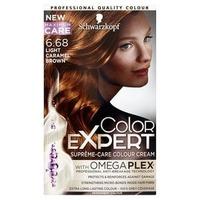 Color Expert Natural Light Caramel Brown 1.0, Brunette