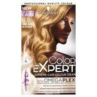 color expert medium blonde 80 blonde