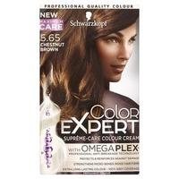 color expert chestnut brown 565 brunette