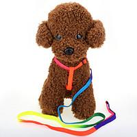 Comfort Soft Breathable Cat Dog Harness Pet Nylon Vest Traction Rope For Dog Collar Colorful Chest Strap Pet Rainbow Chain