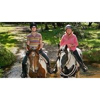 Cowboy Trail Riding Adventure for Two