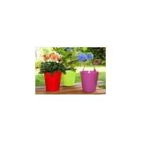 colourful flower pots set of 3