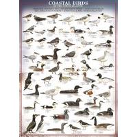 Coastal Birds of the North Atlantic 1000pc Jigsaw Puzzle