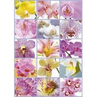 Collage of Flowers 1500 Piece Ji...