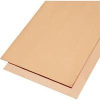 Copper Copper sheet 400 mm 200 mm - input/output voltage 1 mm