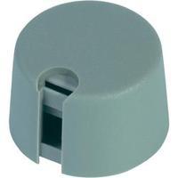 Control knob Grey (Ø x H) 31 mm x 16 mm OKW A1031068 1 pc(s)