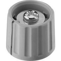 Control knob + hand Grey (Ø x H) 21 mm x 17.5 mm Ritel 27 21 60 1 1 pc(s)