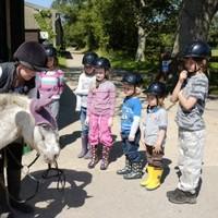 Cowboy Adventure for Kids | South East