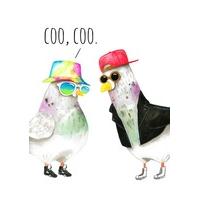 coo, coo | Jolly Awesome | JA1021