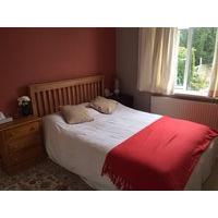 Comfortable Double Room in shared House