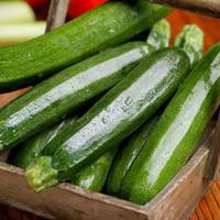 Courgette \'Green Bush\' (Seeds) - 1 packet (20 courgette seeds)