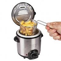 Compact Mini Fryer