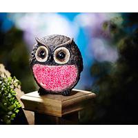 Colour-Changing Owl Solar Light