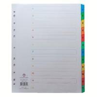 Concord 1-12 A4 Extra-Wide For Punched Pocket White With Multi-Colour