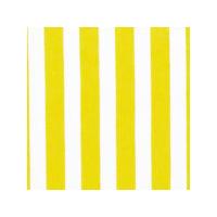 Cotton Poplin Fabric Stripe - Yellow