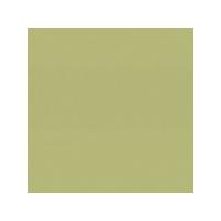 ColorArtz Paint Pouches 14.7ml - Gingko