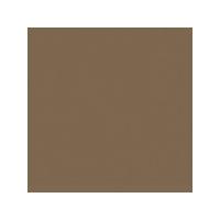 ColorArtz Paint Pouches 14.7ml - Bronze Have More Fun