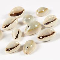 Cowrie Shells Pack