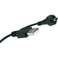 Conec 17-250031 Plug, straight
