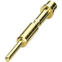 Coninvers 1607406 SF-6DP2000 Gold