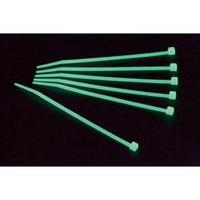 Conrad Components Phosphorescent Cable Tie, Green, mm x mm, 100 pc(s) Pack