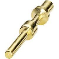 Coninvers 1605750 SM-36KP006 Gold
