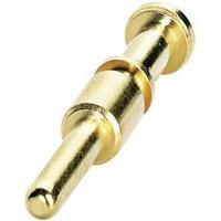 Coninvers 1607656 ST-20KP020 Crimp Contact For Series P20 1 -2.5 mm² Gold