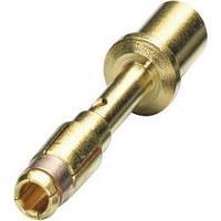 Coninvers 1605636 SF-7PS2000 Gold