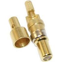 Coaxial conector (pin) Gold plated Conec 131J30019X 1 pc(s)